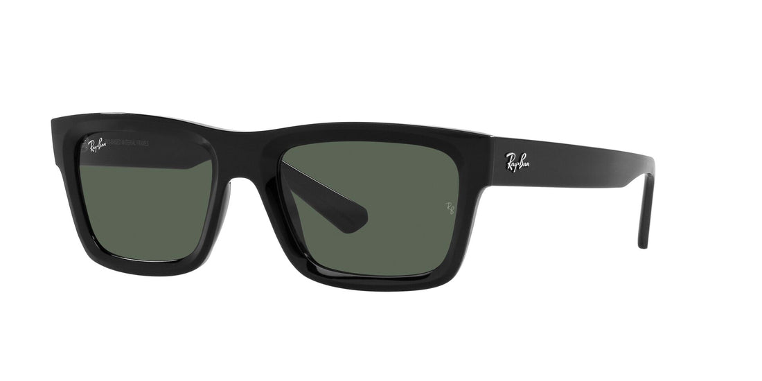 RAY-BAN RB4396 WARREN 667771 54