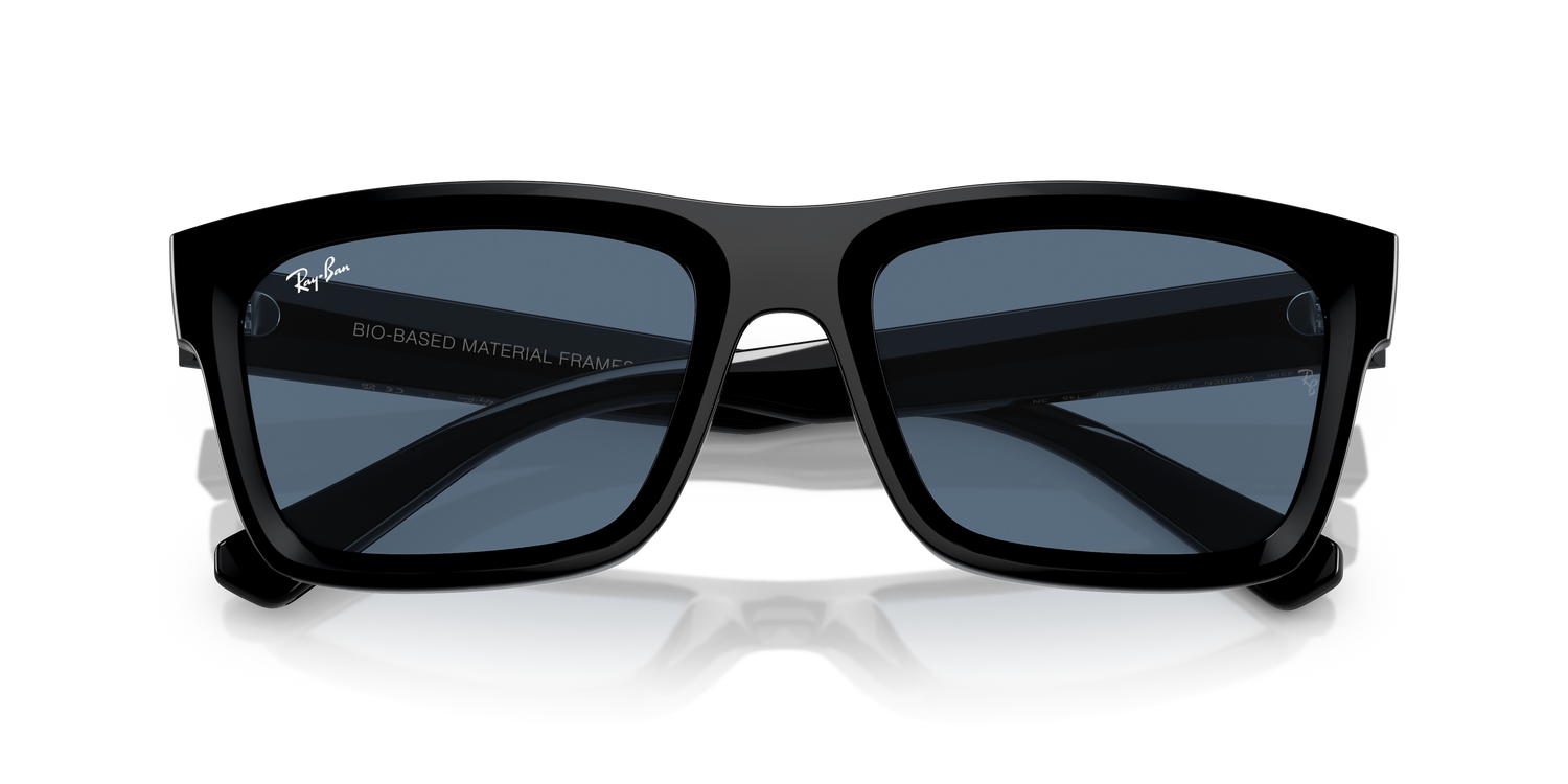RAY-BAN RB4396 WARREN 667780 54