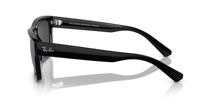 RAY-BAN RB4396 WARREN 667787 57