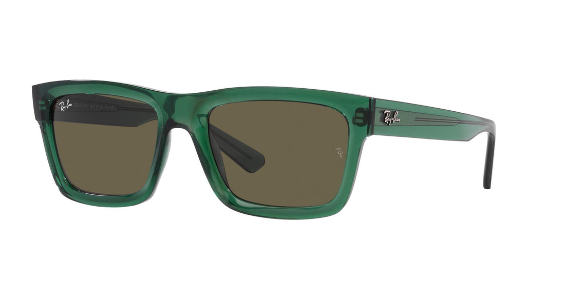 RAY-BAN RB4396 WARREN 6681/3 54