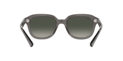 RAY-BAN RB4398 ERIK 667571 53