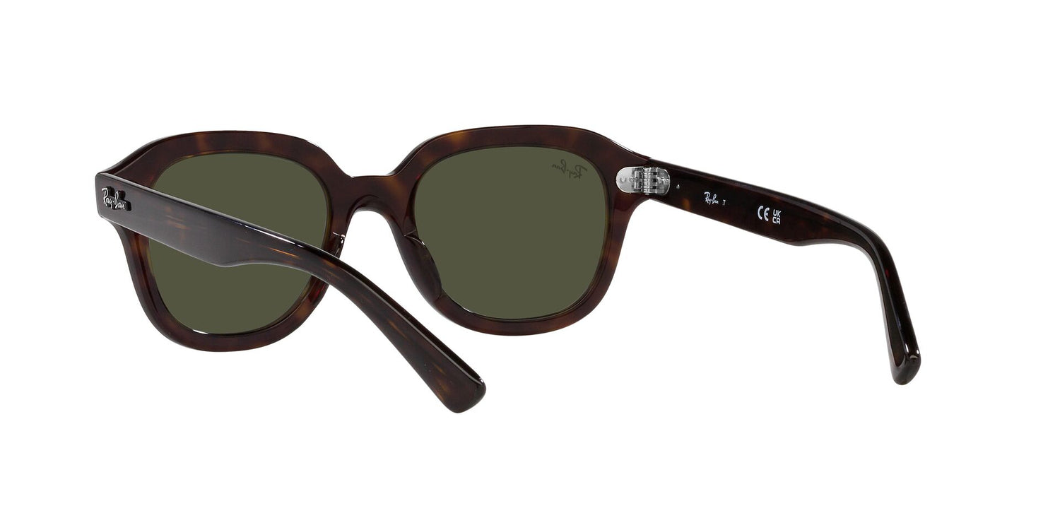 RAY-BAN RB4398 ERIK 902/31 53