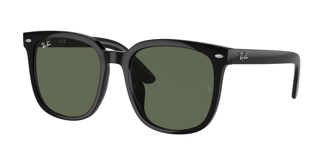 Translation missing: es.seo.product.type.gafas-de-sol ray-ban rb4401d 601/71 negro square unisex talla 55mm - Translation missing: es.seo.product.alt.imagen-principal