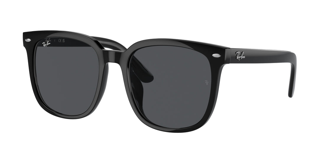 Translation missing: es.seo.product.type.gafas-de-sol ray-ban rb4401d 601/87 negro square unisex talla 55mm - Translation missing: es.seo.product.alt.imagen-principal