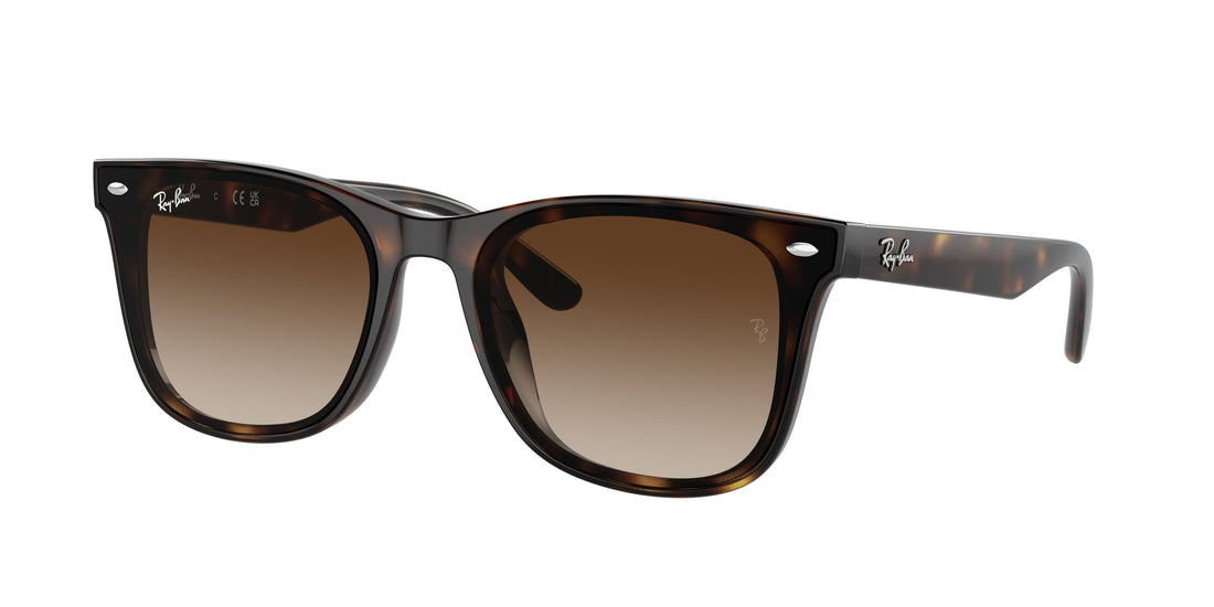 Translation missing: es.seo.product.type.gafas-de-sol ray-ban rb4420 710/13 unisex talla 65mm - Translation missing: es.seo.product.alt.imagen-principal