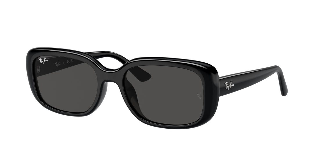 Translation missing: es.seo.product.type.gafas-de-sol ray-ban rb4421d 667787 negro pantos unisex talla 56mm - Translation missing: es.seo.product.alt.imagen-principal