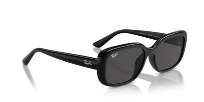 RAY-BAN RB4421D 667787 56
