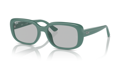 RAY-BAN RB4421D 676287 56