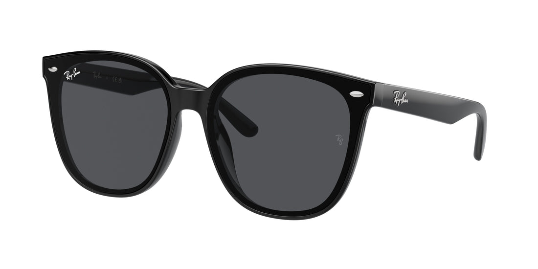 Translation missing: es.seo.product.type.gafas-de-sol ray-ban rb4423d 601/87 negro square unisex talla 66mm - Translation missing: es.seo.product.alt.imagen-principal