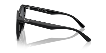 RAY-BAN RB4423D 601/87 66