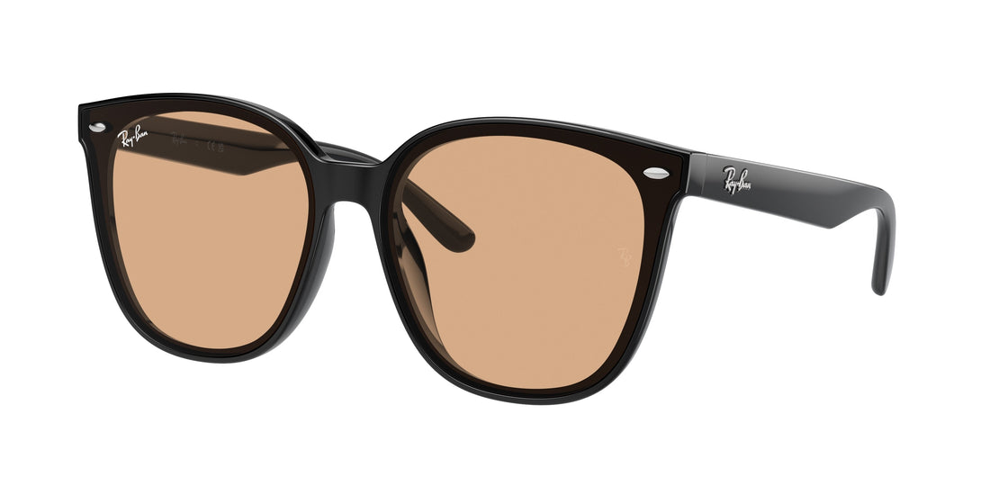 Translation missing: es.seo.product.type.gafas-de-sol ray-ban rb4423d 601/93 negro square unisex talla 66mm - Translation missing: es.seo.product.alt.imagen-principal