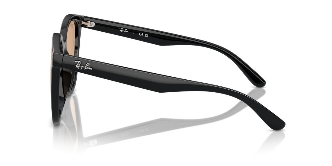 Translation missing: es.seo.product.type.gafas-de-sol ray-ban rb4423d 601/93 negro square unisex talla 66mm - Translation missing: es.seo.product.alt.imagen-secundaria
