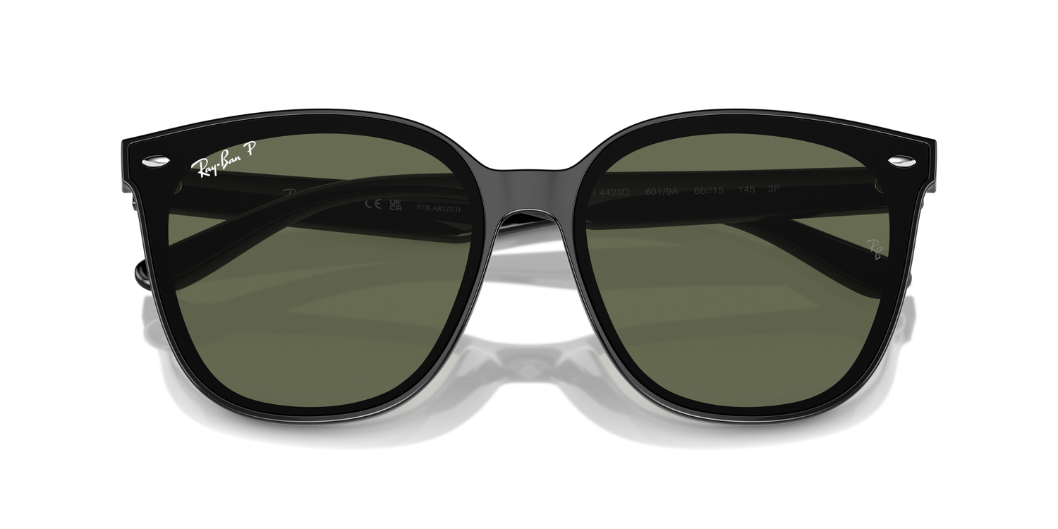 RAY-BAN RB4423D 601/9A 66