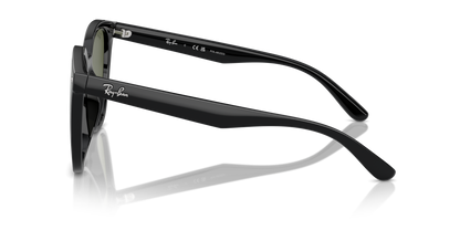 RAY-BAN RB4423D 601/9A 66