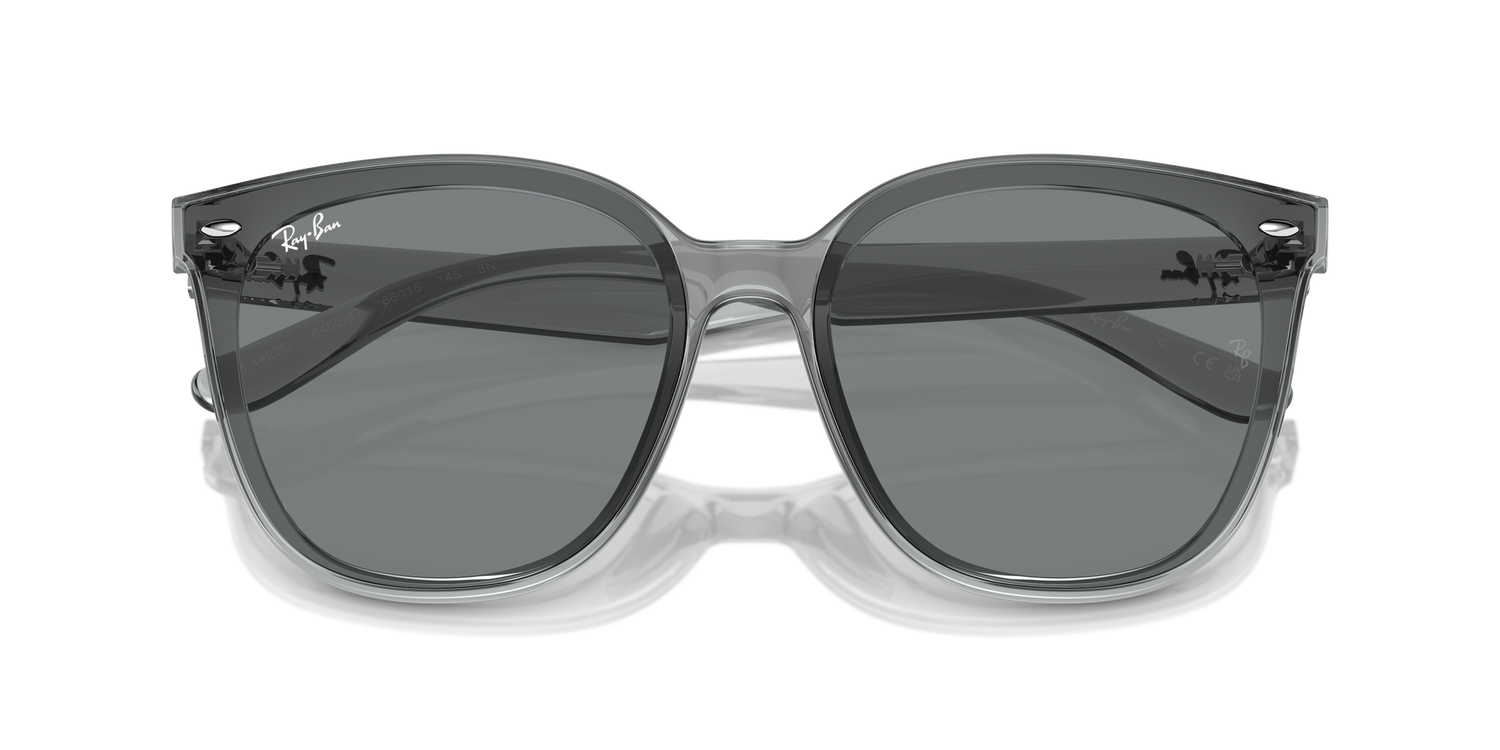 RAY-BAN RB4423D 645087 66