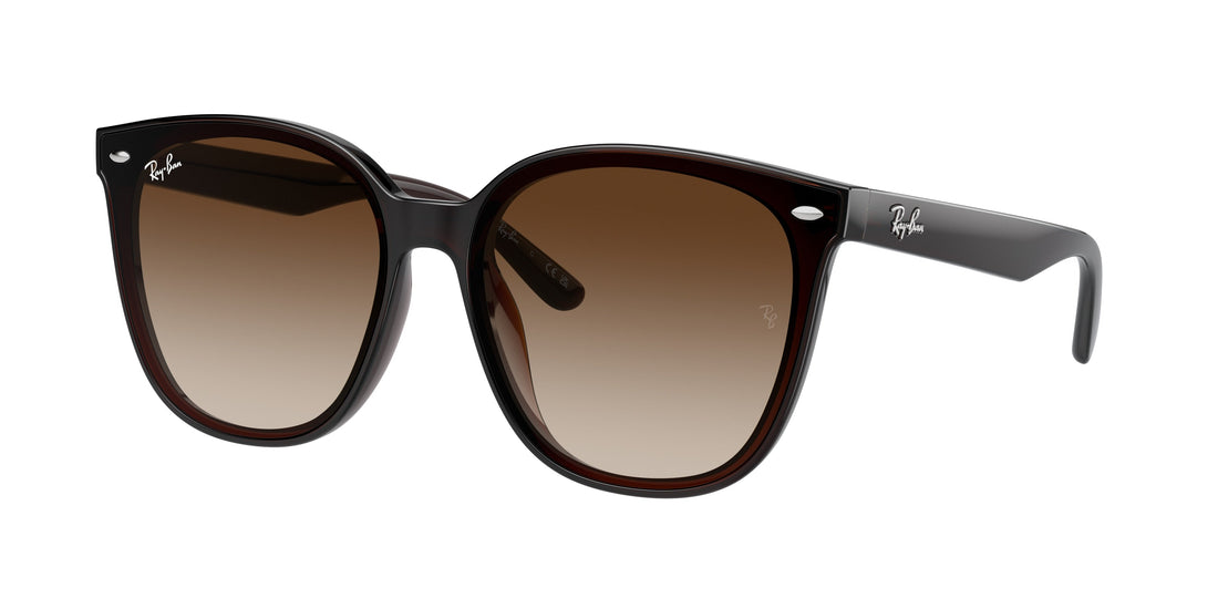 Translation missing: es.seo.product.type.gafas-de-sol ray-ban rb4423d 714/13 marron square unisex talla 66mm - Translation missing: es.seo.product.alt.imagen-principal