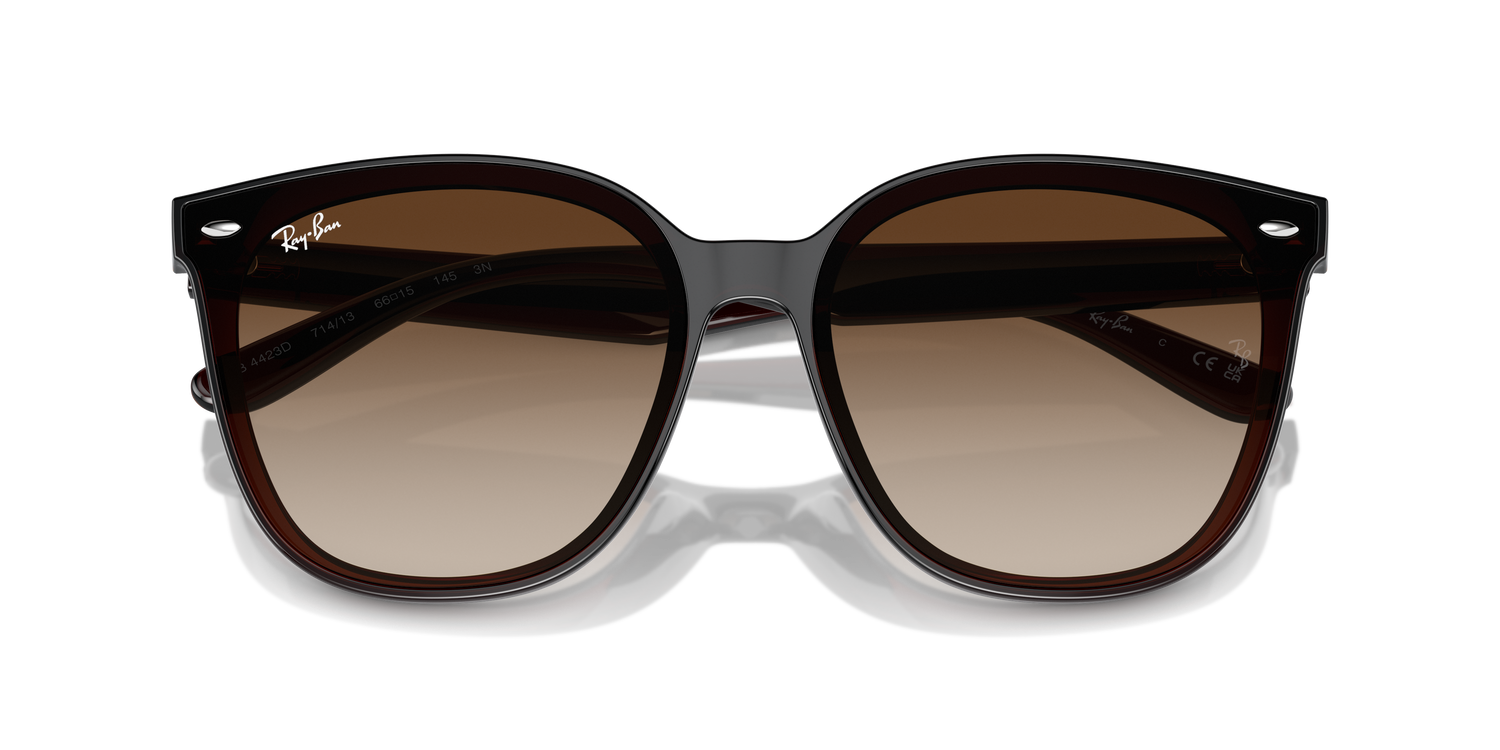 RAY-BAN RB4423D 714/13 66