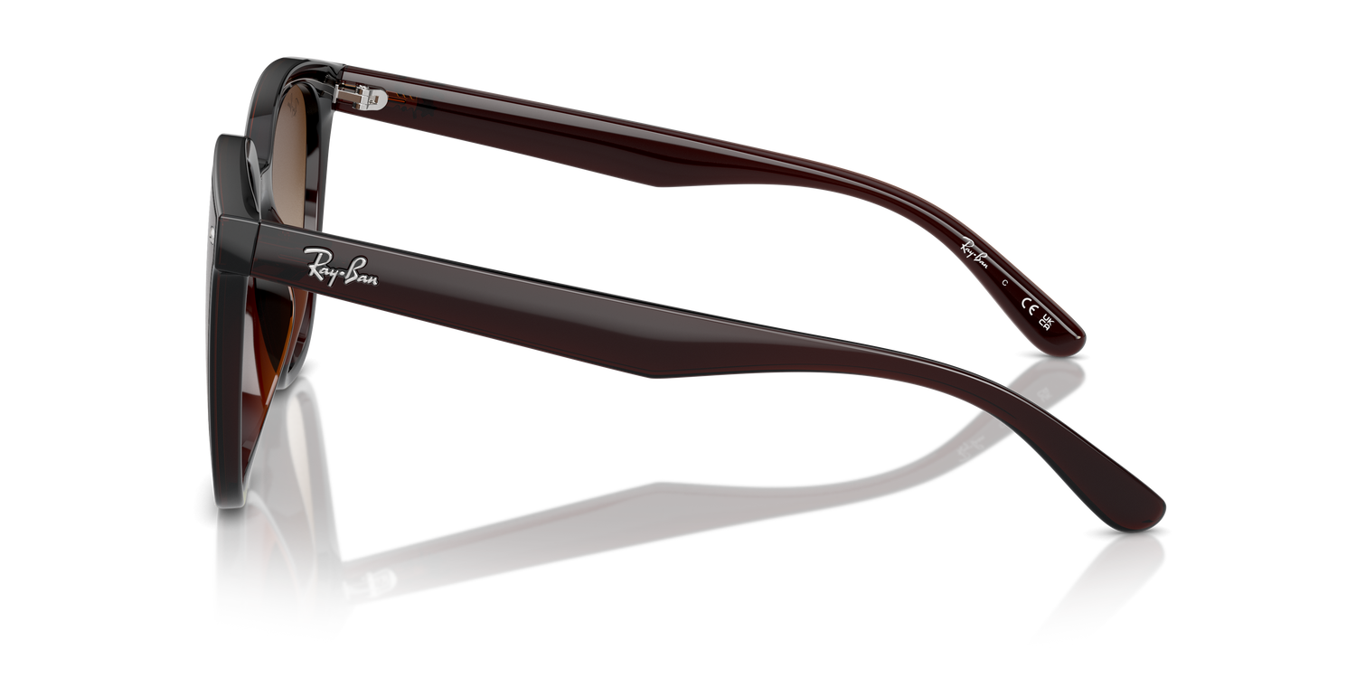 RAY-BAN RB4423D 714/13 66