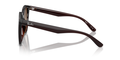 RAY-BAN RB4423D 714/13 66