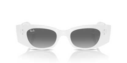RAY-BAN RB4427 KAT 675911 49