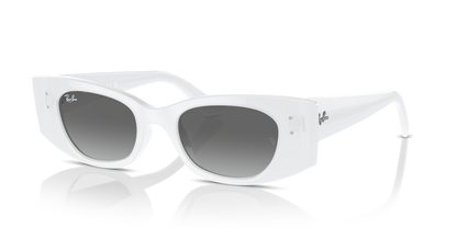 RAY-BAN RB4427 KAT 675911 49