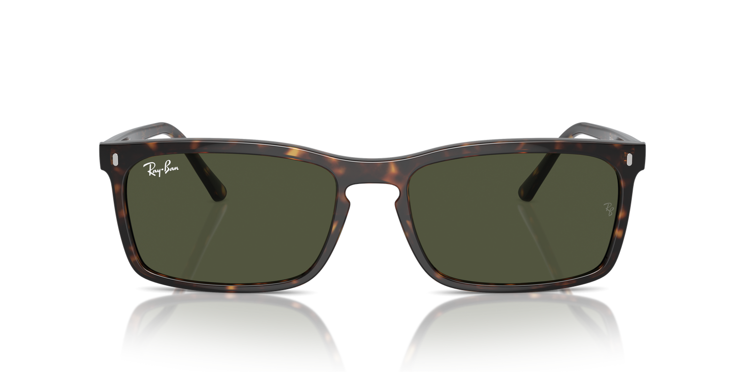 RAY-BAN RB4435 902/31 56