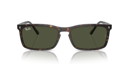 RAY-BAN RB4435 902/31 56