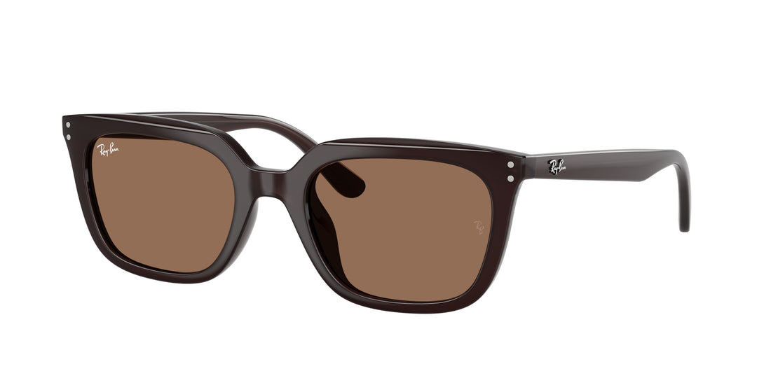 Translation missing: es.seo.product.type.gafas-de-sol ray-ban rb4439d 623173 marrón square unisex talla 54mm - Translation missing: es.seo.product.alt.imagen-principal