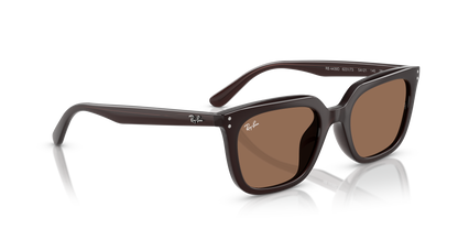 RAY-BAN RB4439D 623173 54
