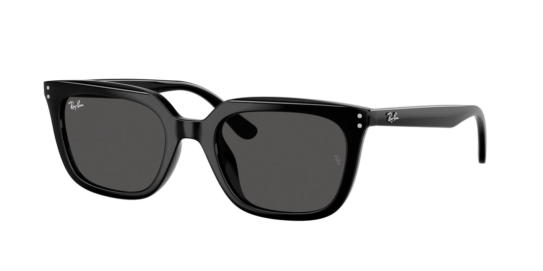Translation missing: es.seo.product.type.gafas-de-sol ray-ban rb4439d 901/87 negro square unisex talla 54mm - Translation missing: es.seo.product.alt.imagen-principal