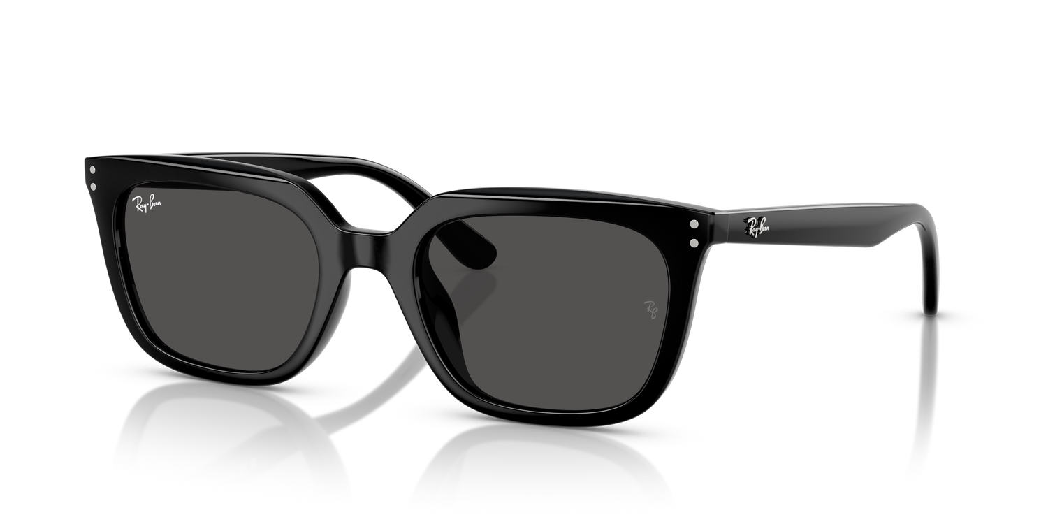 RAY-BAN RB4439D 901/87 54