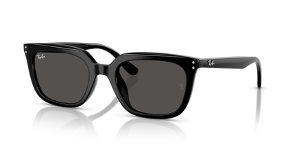 RAY-BAN RB4439D 901/87 54