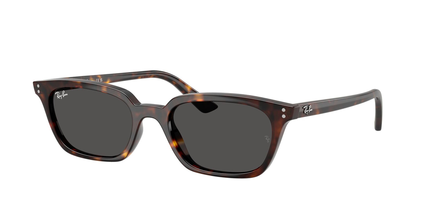 RAY-BAN RB4456 ZAYA 135987 53
