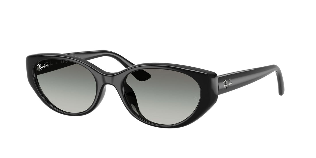 RAY-BAN RB4457D 667711 55