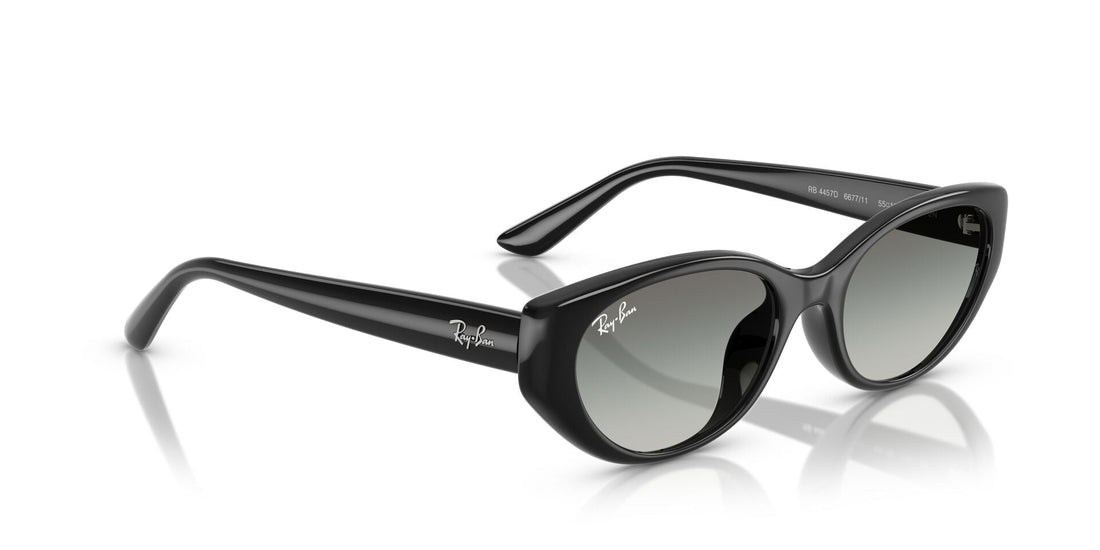 RAY-BAN RB4457D 667711 55
