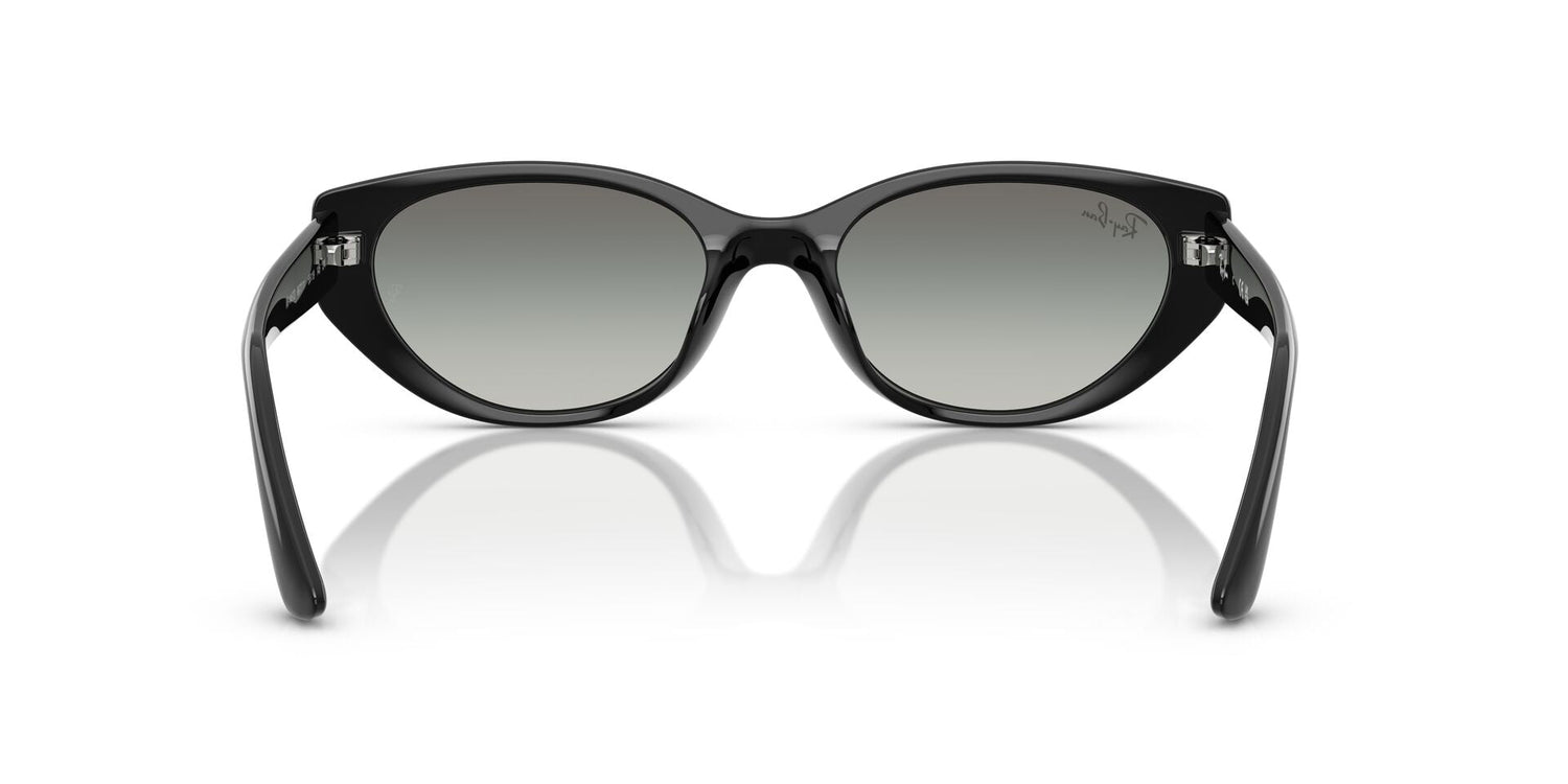 RAY-BAN RB4457D 667711 55