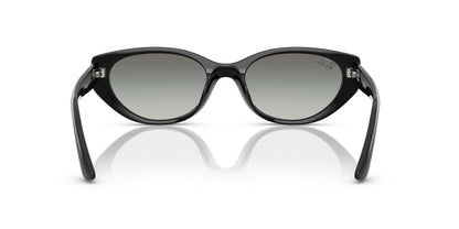 RAY-BAN RB4457D 667711 55