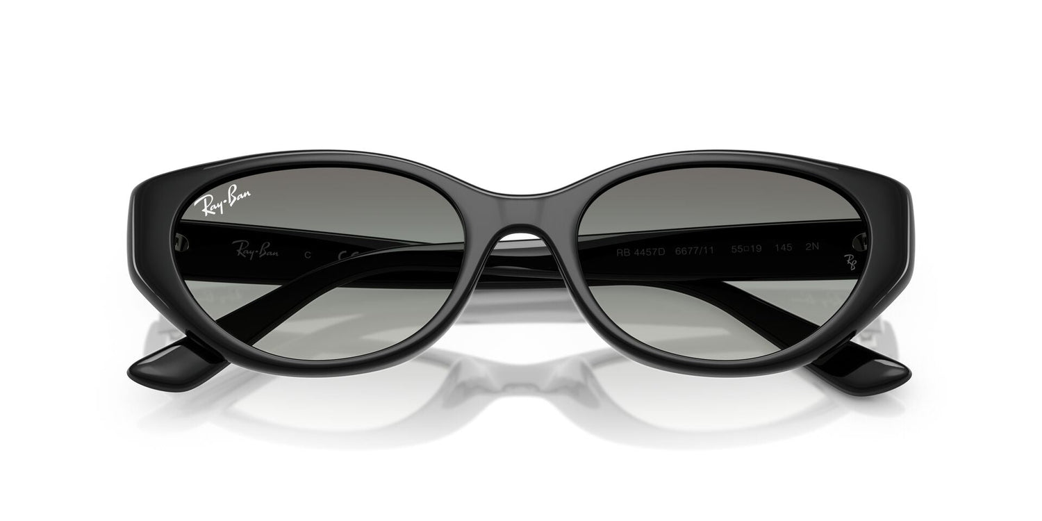 RAY-BAN RB4457D 667711 55