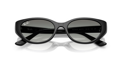 RAY-BAN RB4457D 667711 55