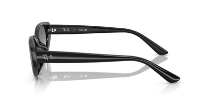 RAY-BAN RB4457D 667711 55
