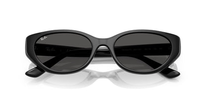 RAY-BAN RB4457D 667787 55