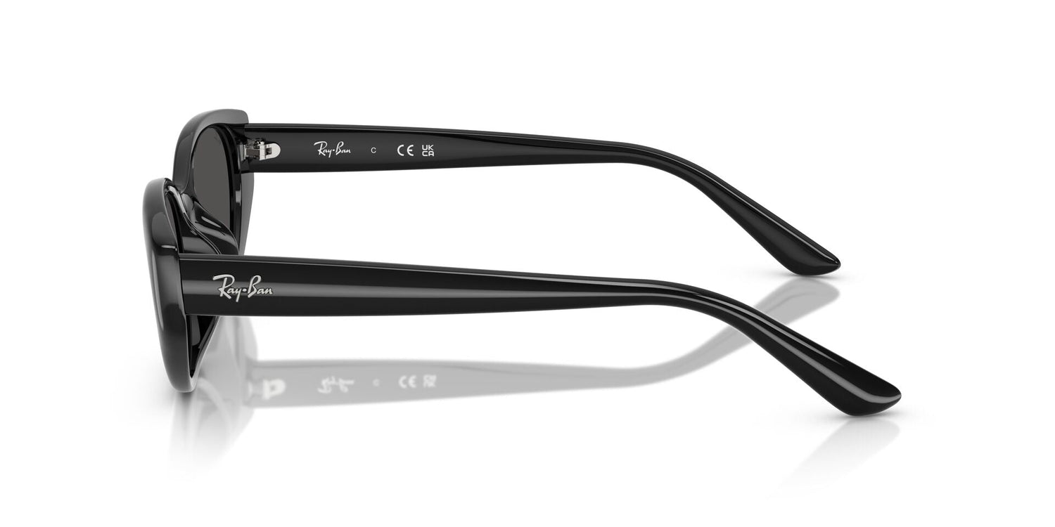 RAY-BAN RB4457D 667787 55