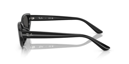 RAY-BAN RB4457D 667787 55