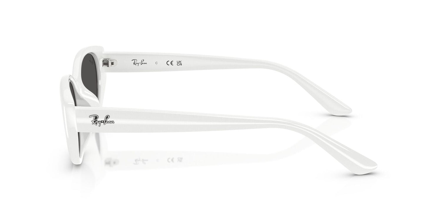 RAY-BAN RB4457D 677287 55