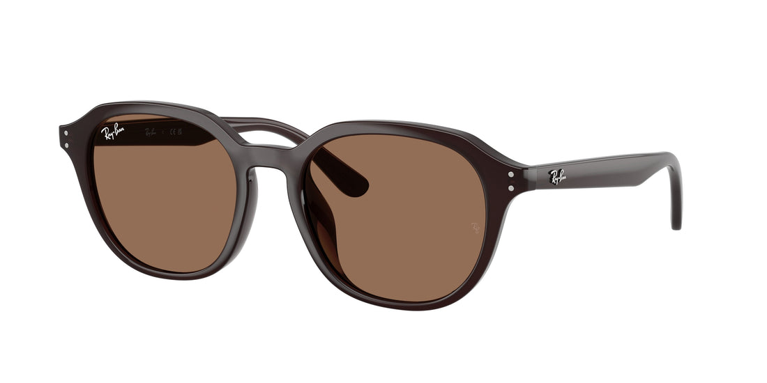 Translation missing: es.seo.product.type.gafas-de-sol ray-ban rb4459d 623173 marron square unisex talla 54mm - Translation missing: es.seo.product.alt.imagen-principal