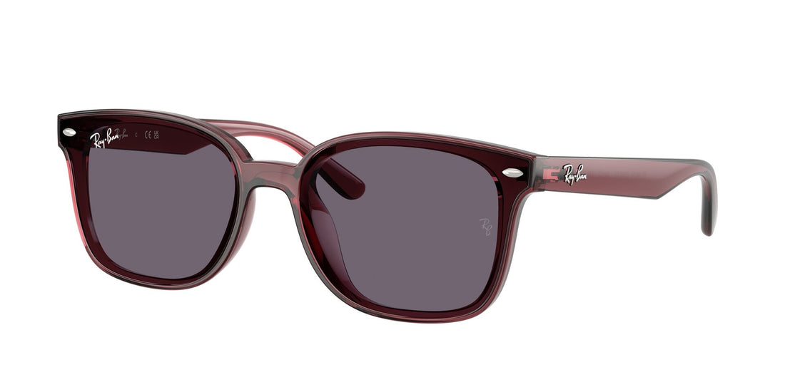 Translation missing: es.seo.product.type.gafas-de-sol ray-ban rb4461d 659373 marron rectangular unisex talla 64mm - Translation missing: es.seo.product.alt.imagen-principal