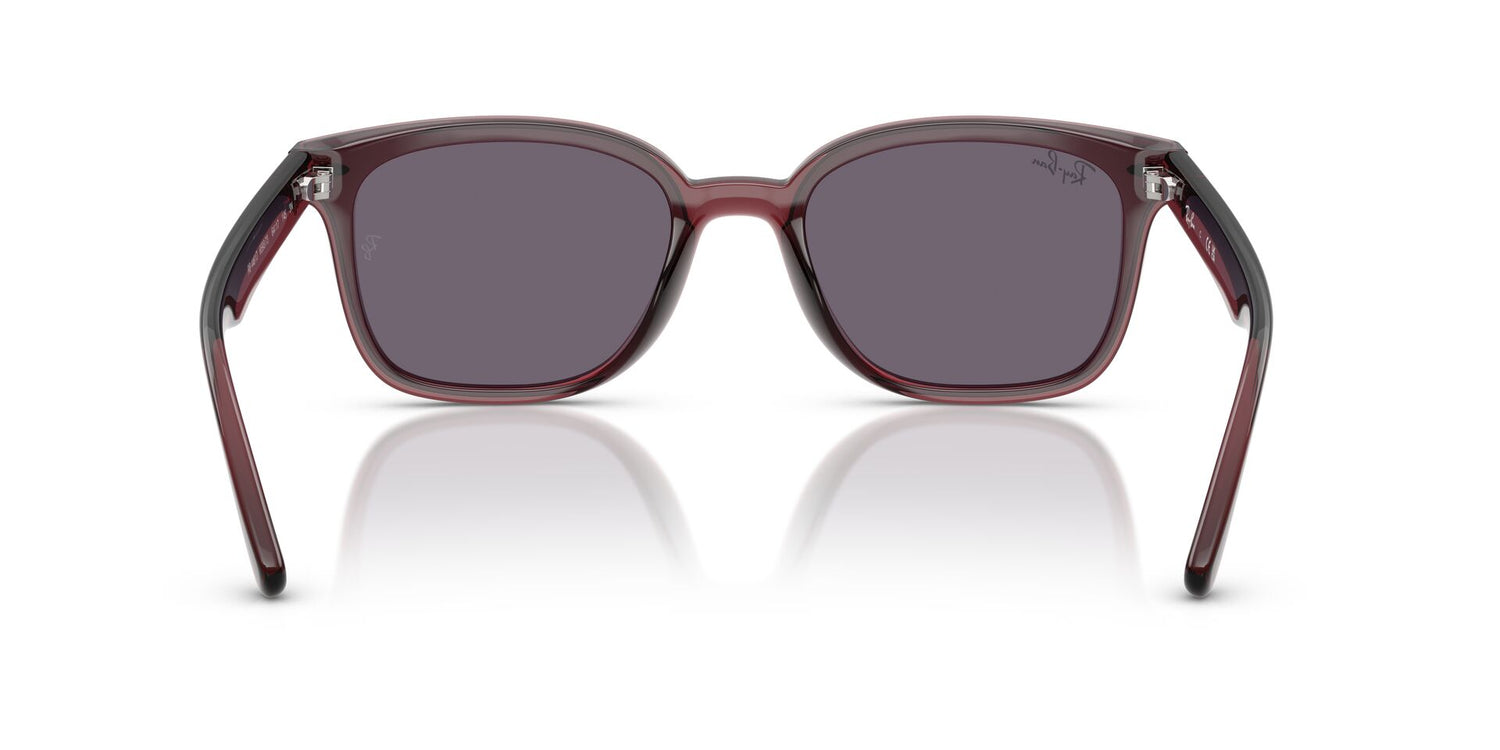 RAY-BAN RB4461D 659373 64