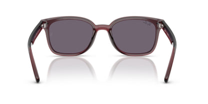 RAY-BAN RB4461D 659373 64