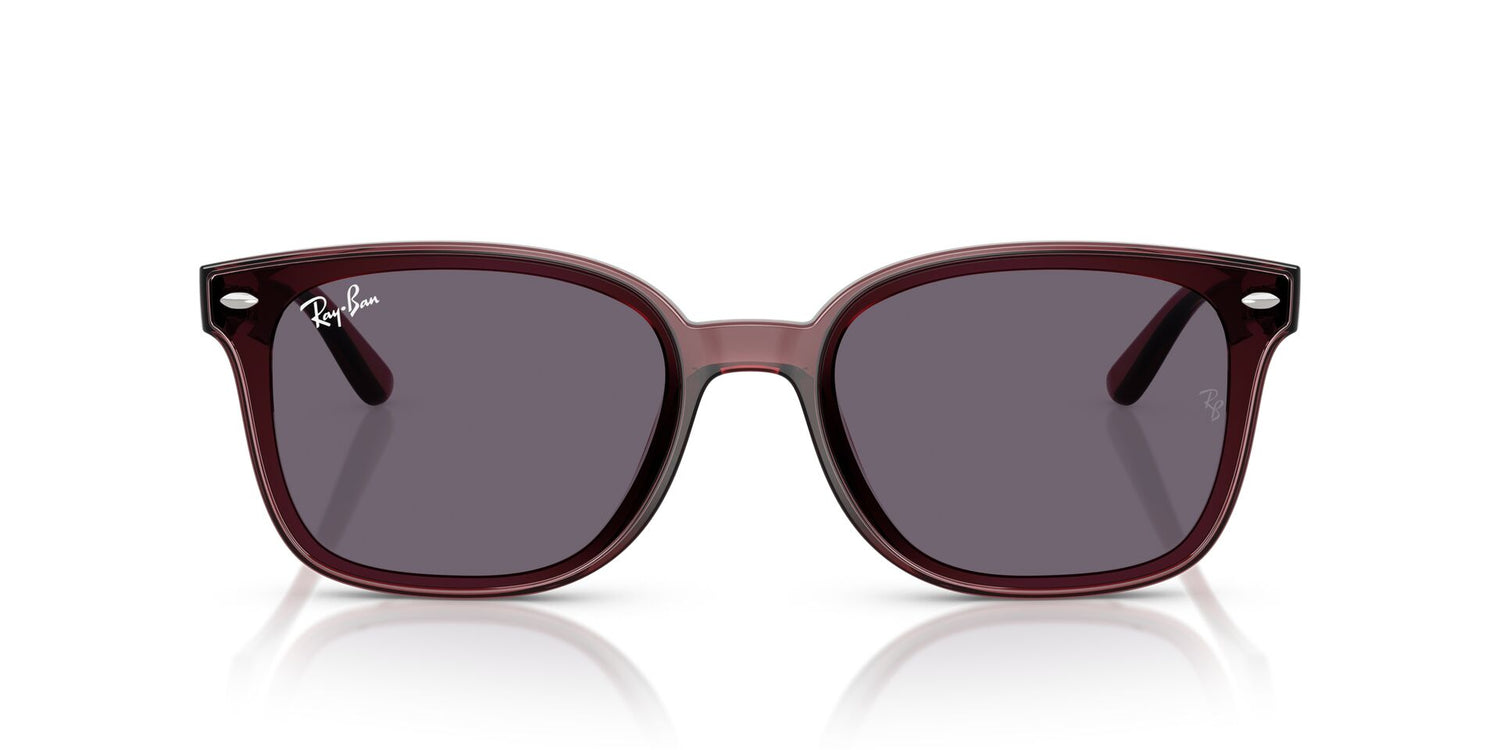 RAY-BAN RB4461D 659373 64