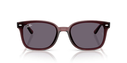 RAY-BAN RB4461D 659373 64